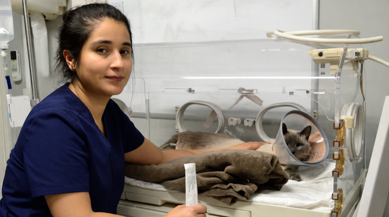 Jeanine White at work with a colleague